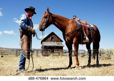 Picture - Cattleman with? Quarter horse? and/or? Paint? of USA. Ponderosa Ranch. Seneca. Oregon. USA. Fotosearch