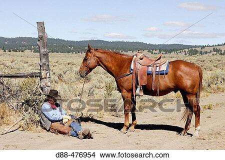 Cattleman with? Quarter horse? and/or? Paint? of USA. Ponderosa Ranch. Seneca. Oregon. USA View Large Photo Image Picture - Cattleman with? Quarter horse? and/or? Paint? of USA. Ponderosa Ranch. Seneca. Oregon. USA. Fotosearch