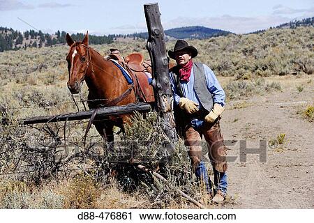 Stock Image - Cattleman with? Quarter horse? and/or? Paint? of USA. Ponderosa Ranch. Seneca. Oregon. USA. Fotosearch