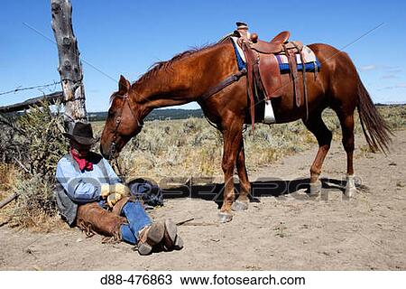 Cattleman with? Quarter horse? and/or? Paint? of USA. Ponderosa Ranch. Seneca. Oregon. USA View Large Photo Image Stock Image - Cattleman with? Quarter horse? and/or? Paint? of USA. Ponderosa Ranch. Seneca. Oregon. USA. Fotosearch