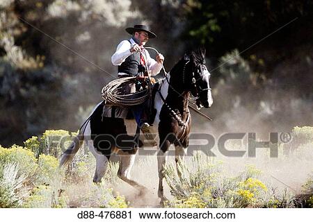 Cattleman with? Quarter horse? and/or? Paint? of USA. Ponderosa Ranch. Seneca. Oregon. USA View Large Photo Image Stock Image - Cattleman with? Quarter horse? and/or? Paint? of USA. Ponderosa Ranch. Seneca. Oregon. USA. Fotosearch