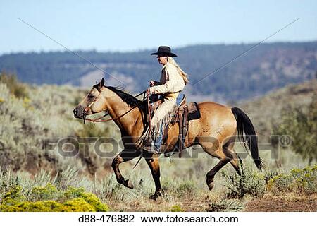 Cattleman with? Quarter horse? and/or? Paint? of USA. Ponderosa Ranch. Seneca. Oregon. USA View Large Photo Image Stock Image - Cattleman with? Quarter horse? and/or? Paint? of USA. Ponderosa Ranch. Seneca. Oregon. USA. Fotosearch