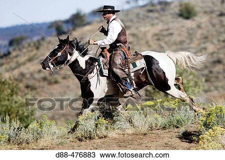 Cattleman with? Quarter horse? and/or? Paint? of USA. Ponderosa Ranch. Seneca. Oregon. USA View Large Photo Image Stock Image - Cattleman with? Quarter horse? and/or? Paint? of USA. Ponderosa Ranch. Seneca. Oregon. USA. Fotosearch