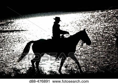 Cattleman with? Quarter horse? and/or? Paint? of USA. Ponderosa Ranch. Seneca. Oregon. USA View Large Photo Image Stock Image - Cattleman with? Quarter horse? and/or? Paint? of USA. Ponderosa Ranch. Seneca. Oregon. USA. Fotosearch
