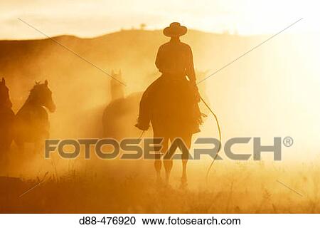Cattleman with? Quarter horse? and/or? Paint? of USA. Ponderosa Ranch. Seneca. Oregon. USA View Large Photo Image Stock Image - Cattleman with? Quarter horse? and/or? Paint? of USA. Ponderosa Ranch. Seneca. Oregon. USA. Fotosearch