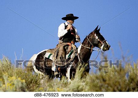 Cattleman with? Quarter horse? and/or? Paint? of USA. Ponderosa Ranch. Seneca. Oregon. USA View Large Photo Image Stock Image - Cattleman with? Quarter horse? and/or? Paint? of USA. Ponderosa Ranch. Seneca. Oregon. USA. Fotosearch