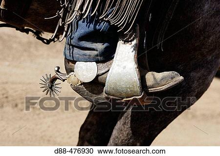 Cattleman with? Quarter horse? and/or? Paint? of USA. Ponderosa Ranch. Seneca. Oregon. USA View Large Photo Image Stock Image - Cattleman with? Quarter horse? and/or? Paint? of USA. Ponderosa Ranch. Seneca. Oregon. USA. Fotosearch