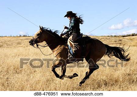 Cattleman with? Quarter horse? and/or? Paint? of USA. Ponderosa Ranch. Seneca. Oregon. USA View Large Photo Image Stock Image - Cattleman with? Quarter horse? and/or? Paint? of USA. Ponderosa Ranch. Seneca. Oregon. USA. Fotosearch