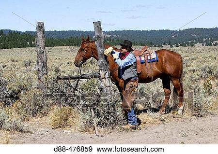 Cattleman with? Quarter horse? and/or? Paint? of USA. Ponderosa Ranch. Seneca. Oregon. USA View Large Photo Image Stock Photo - Cattleman with? Quarter horse? and/or? Paint? of USA. Ponderosa Ranch. Seneca. Oregon. USA. Fotosearch