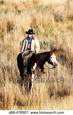 Cattleman with? Quarter horse? and/or? Paint? of USA. Ponderosa Ranch. Seneca. Oregon. USA View Large Photo Image Stock Photo - Cattleman with? Quarter horse? and/or? Paint? of USA. Ponderosa Ranch. Seneca. Oregon. USA. Fotosearch