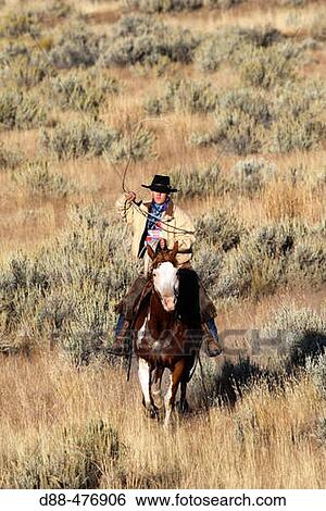 Cattleman with? Quarter horse? and/or? Paint? of USA. Ponderosa Ranch. Seneca. Oregon. USA View Large Photo Image Stock Photograph - Cattleman with? Quarter horse? and/or? Paint? of USA. Ponderosa Ranch. Seneca. Oregon. USA. Fotosearch