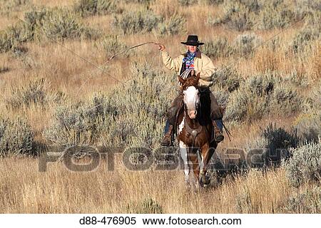 Stock Photography - Cattleman with? Quarter horse? and/or? Paint? of USA. Ponderosa Ranch. Seneca. Oregon. USA. Fotosearch
