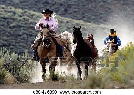 Cattlemen with? Quarter horse? and/or? Paint? of USA. Ponderosa Ranch. Seneca. Oregon. USA View Large Photo Image Stock Image - Cattlemen with? Quarter horse? and/or? Paint? of USA. Ponderosa Ranch. Seneca. Oregon. USA. Fotosearch
