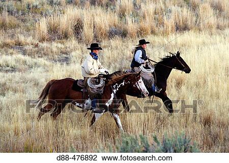 Cattlemen with? Quarter horse? and/or? Paint? of USA. Ponderosa Ranch. Seneca. Oregon. USA View Large Photo Image Stock Image - Cattlemen with? Quarter horse? and/or? Paint? of USA. Ponderosa Ranch. Seneca. Oregon. USA. Fotosearch