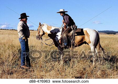 Cattlemen with? Quarter horse? and/or? Paint? of USA. Ponderosa Ranch. Seneca. Oregon. USA View Large Photo Image Stock Image - Cattlemen with? Quarter horse? and/or? Paint? of USA. Ponderosa Ranch. Seneca. Oregon. USA. Fotosearch