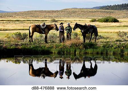 Stock Photo - Cattlemen with? Quarter horse? and/or? Paint? of USA. Ponderosa Ranch. Seneca. Oregon. USA. Fotosearch