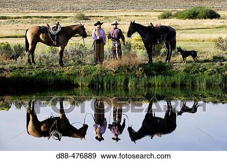 Stock Photo - Cattlemen with? Quarter horse? and/or? Paint? of USA. Ponderosa Ranch. Seneca. Oregon. USA. Fotosearch