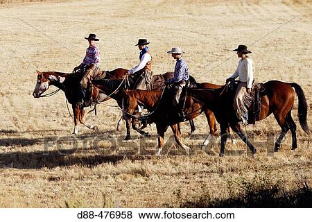 Cattlemen with? Quarter horse? and/or? Paint? of USA. Ponderosa Ranch. Seneca. Oregon. USA View Large Photo Image Stock Photo - Cattlemen with? Quarter horse? and/or? Paint? of USA. Ponderosa Ranch. Seneca. Oregon. USA. Fotosearch