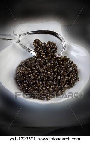Caviar, Sturgeon's Eggs View Large Photo Image Stock Image - Caviar, Sturgeon's Eggs. Fotosearch