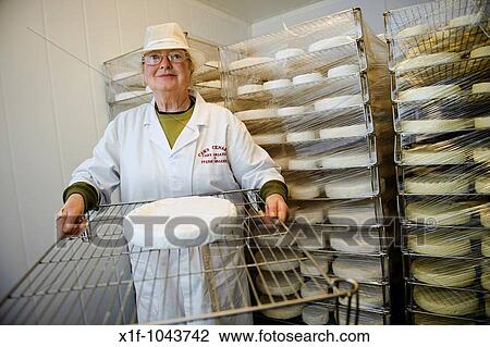Caws Cenarth welsh organic farmhouse cheese makers, west wales UK View Large Photo Image Stock Image - Caws Cenarth welsh organic farmhouse cheese makers, west wales UK. Fotosearch