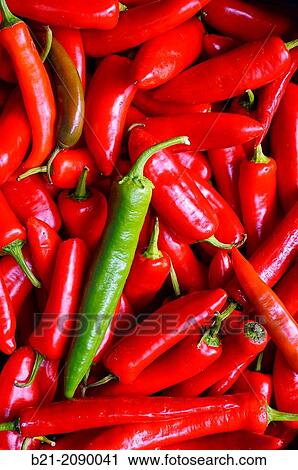 Cayenne pepper. View Large Photo Image Stock Image - Cayenne pepper.. Fotosearch