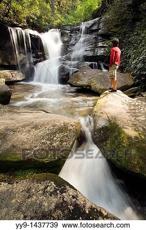 Cedar Rock Falls - Pisgah National Forest - near Brevard, North Carolina USA View Large Photo Image Stock Photo - Cedar Rock Falls - Pisgah National Forest - near Brevard, North Carolina USA. Fotosearch
