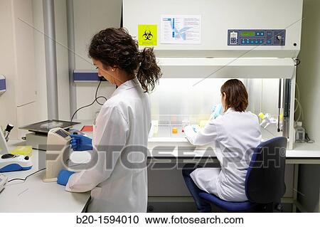 Cell counter, counting and viability of cell line, Cell Culture cleanroom, Biotechnology Laboratory, Health Area, Alava Technology Park, Technology Centre, Tecnalia Research & Innovation, Miano, Araba, Basque Country, Spain View Large Photo Image Stock Image - Cell counter, counting and viability of cell line, Cell Culture cleanroom, Biotechnology Laboratory, Health Area, Alava Technology Park, Technology Centre, Tecnalia Research & Innovation, Miano, Araba, Basque Country, Spain. Fotosearch