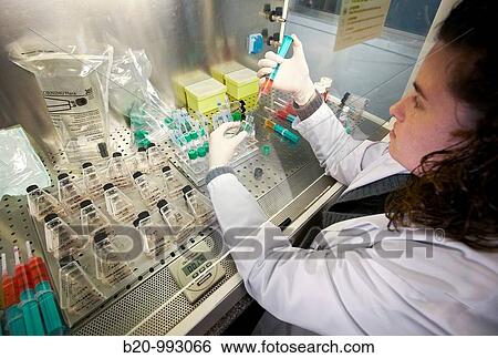 Cell culture, Laboratory of genetics, Cytogenetics. Hospital Policlinica Gipuzkoa, San Sebastian, Donostia, Euskadi, Spain View Large Photo Image Stock Photograph - Cell culture, Laboratory of genetics, Cytogenetics. Hospital Policlinica Gipuzkoa, San Sebastian, Donostia, Euskadi, Spain. Fotosearch