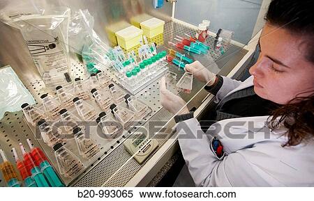 Cell culture, Laboratory of genetics, Cytogenetics. Hospital Policlinica Gipuzkoa, San Sebastian, Donostia, Euskadi, Spain View Large Photo Image Stock Photography - Cell culture, Laboratory of genetics, Cytogenetics. Hospital Policlinica Gipuzkoa, San Sebastian, Donostia, Euskadi, Spain. Fotosearch