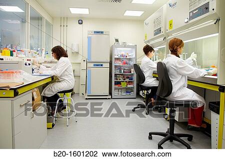 Cell culture room, cleanroom, Bioengineering and Microbiology Laboratory, Microelectronics and Microsystems Unit, CEIT (Center of Studies and Technical Research), University of Navarra, Donostia, Gipuzkoa, Basque Country, Spain View Large Photo Image Stock Image - Cell culture room, cleanroom, Bioengineering and Microbiology Laboratory, Microelectronics and Microsystems Unit, CEIT (Center of Studies and Technical Research), University of Navarra, Donostia, Gipuzkoa, Basque Country, Spain. Fotosearch