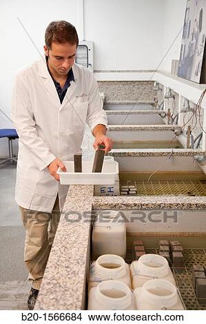Picture - Cement curing Bathrooms, Research on building materials, Tecnalia Research & Innovation, Zamudio, Bizkaia, Basque Country, Spain. Fotosearch