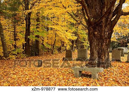 Cemetery in Kensington during the autumn months Located in Kensington, New Hampshire USA, which is part of scenic New England View Large Photo Image Stock Photo - Cemetery in Kensington during the autumn months Located in Kensington, New Hampshire USA, which is part of scenic New England. Fotosearch