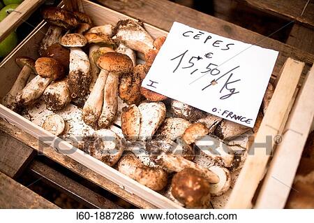 Cepes in Sarlat-la-Can? da, Perigord, Dordogne, France View Large Photo Image Stock Photograph - Cepes in Sarlat-la-Can? da, Perigord, Dordogne, France. Fotosearch