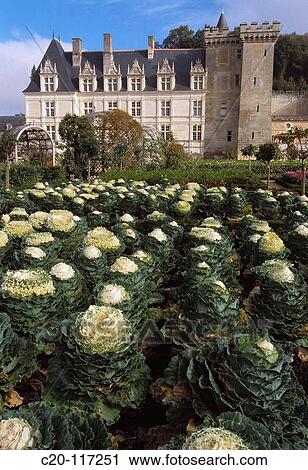 Ch? teau de Villandry. Indre-et-Loire, France View Large Photo Image Stock Image - Ch? teau de Villandry. Indre-et-Loire, France. Fotosearch