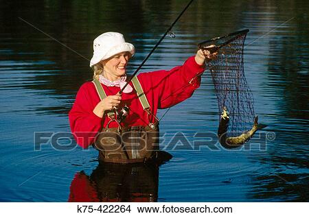 Chain pickerel View Large Photo Image Picture - Chain pickerel. Fotosearch