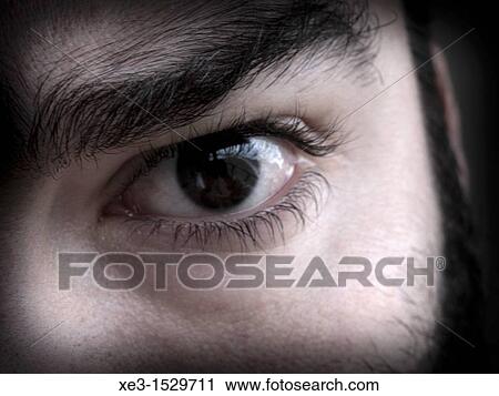 Challenging eye View Large Photo Image Stock Image - Challenging eye. Fotosearch