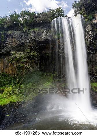 Chania Fall in the Aberdare National Park in Kenya Africa, East Africa, Kenya, Aberdare NP, December View Large Photo Image Stock Photography - Chania Fall in the Aberdare National Park in Kenya Africa, East Africa, Kenya, Aberdare NP, December. Fotosearch
