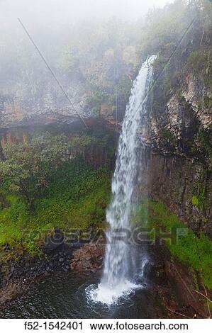 Chania falls, Aberdare National Park, Kenya, Africa. View Large Photo Image Stock Image - Chania falls, Aberdare National Park, Kenya, Africa.. Fotosearch