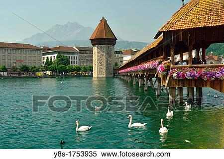 Chapel bridgeand octogonal water tower, Lucerne, Switzerland View Large Photo Image Stock Photography - Chapel bridgeand octogonal water tower, Lucerne, Switzerland. Fotosearch