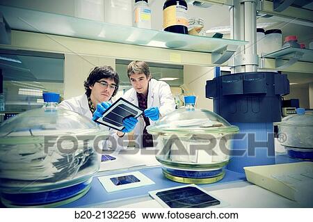 Characterization laboratory solar cells. Energy and Environment Division. Tecnalia Research and Innovation. Donostia. San Sebastian. Gipuzkoa. Basque Country. Spain. Europe. View Large Photo Image Stock Photograph - Characterization laboratory solar cells. Energy and Environment Division. Tecnalia Research and Innovation. Donostia. San Sebastian. Gipuzkoa. Basque Country. Spain. Europe.. Fotosearch