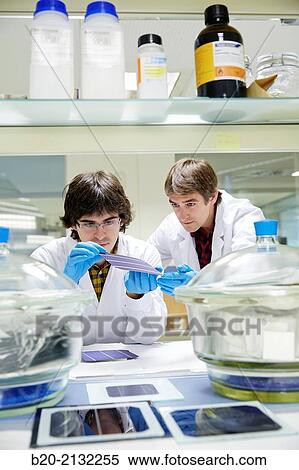 Stock Photography - Characterization laboratory solar cells. Energy and Environment Division. Tecnalia Research and Innovation. Donostia. San Sebastian. Gipuzkoa. Basque Country. Spain. Europe.. Fotosearch