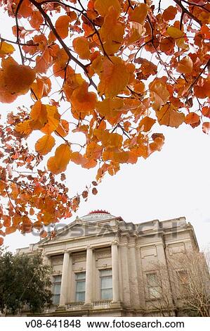 Charleston, South Carolina, USA View Large Photo Image Stock Photo - Charleston, South Carolina, USA. Fotosearch