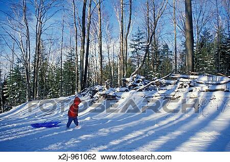 Charlevoix, Michigan - Mariel West, 3, pulls her sled to the top of a hill before sliding down MR View Large Photo Image Stock Image - Charlevoix, Michigan - Mariel West, 3, pulls her sled to the top of a hill before sliding down MR. Fotosearch