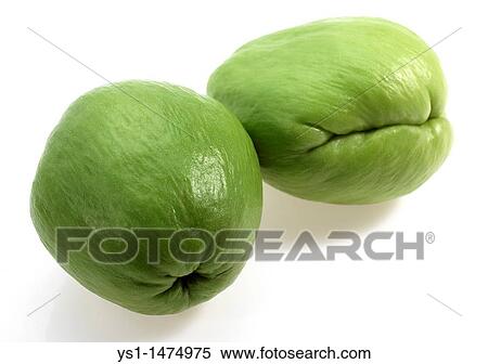 Chayote, sechium edule, Mexican Fruit against White Background View Large Photo Image Stock Photography - Chayote, sechium edule, Mexican Fruit against White Background. Fotosearch