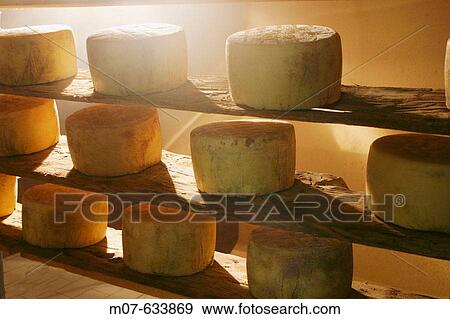Cheese drying View Large Photo Image Stock Photo - Cheese drying. Fotosearch