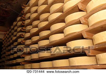 Cheese factory, Cividale del Friuli, Friuli-Venezia Giulia, Italy View Large Photo Image Picture - Cheese factory, Cividale del Friuli, Friuli-Venezia Giulia, Italy. Fotosearch