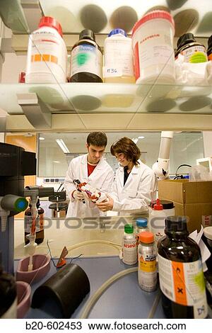 Chemical laboratory of adhesives. Fundacion Inasmet-Tecnalia. Donostia, San Sebastian, Euskadi. Spain. View Large Photo Image Stock Image - Chemical laboratory of adhesives. Fundacion Inasmet-Tecnalia. Donostia, San Sebastian, Euskadi. Spain.. Fotosearch
