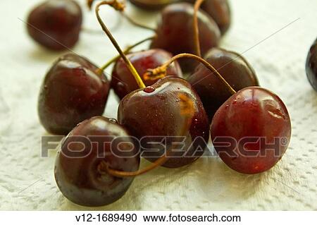 cherries fruit View Large Photo Image Stock Image - cherries fruit. Fotosearch