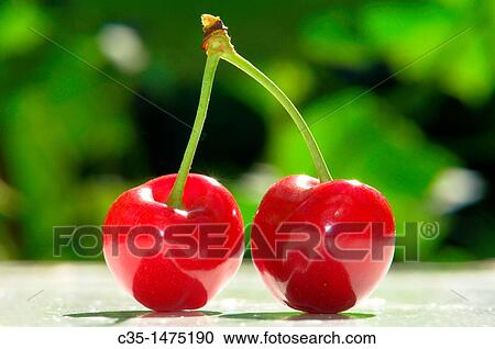 Cherry View Large Photo Image Stock Image - Cherry. Fotosearch