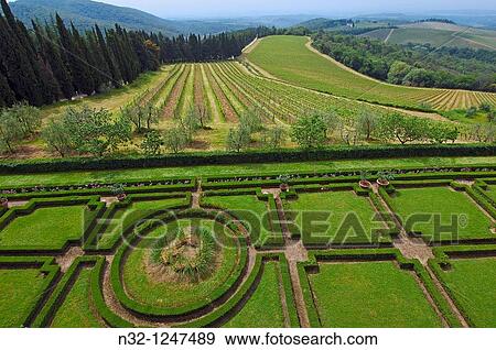 Chianti, Castello di Brolio, Brolio Castle gardens and vineyards, Ricasoli Vineyard, Siena Province, Tuscany, Italy. View Large Photo Image Stock Photo - Chianti, Castello di Brolio, Brolio Castle gardens and vineyards, Ricasoli Vineyard, Siena Province, Tuscany, Italy.. Fotosearch